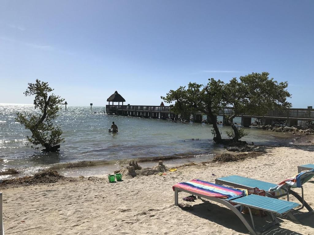 Tropical Daze Oceanfront Paradise Tavernier Exterior photo